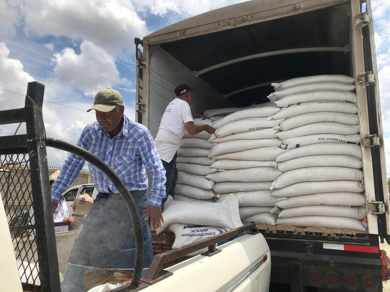 Impulsa Estado a productores en zona sur con 14 toneladas de semilla de avena 
