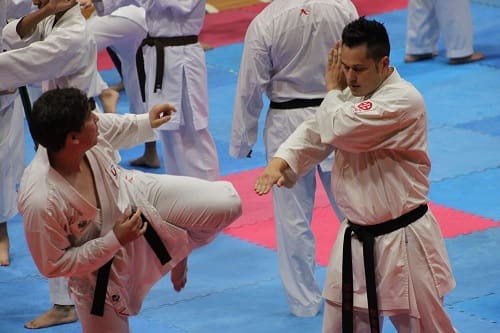 Concluye con éxito el Primer Tope Fogueo de Karate Do