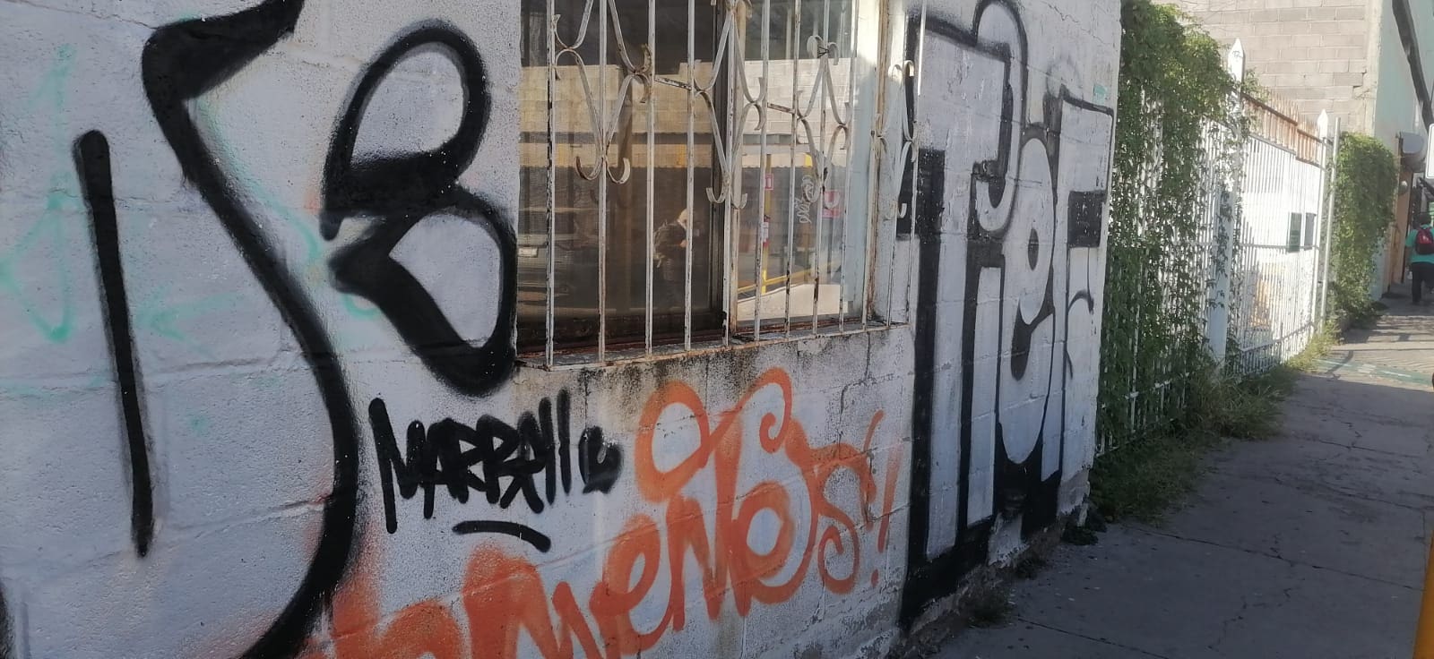Proliferación grafitti en locales de la zona centro