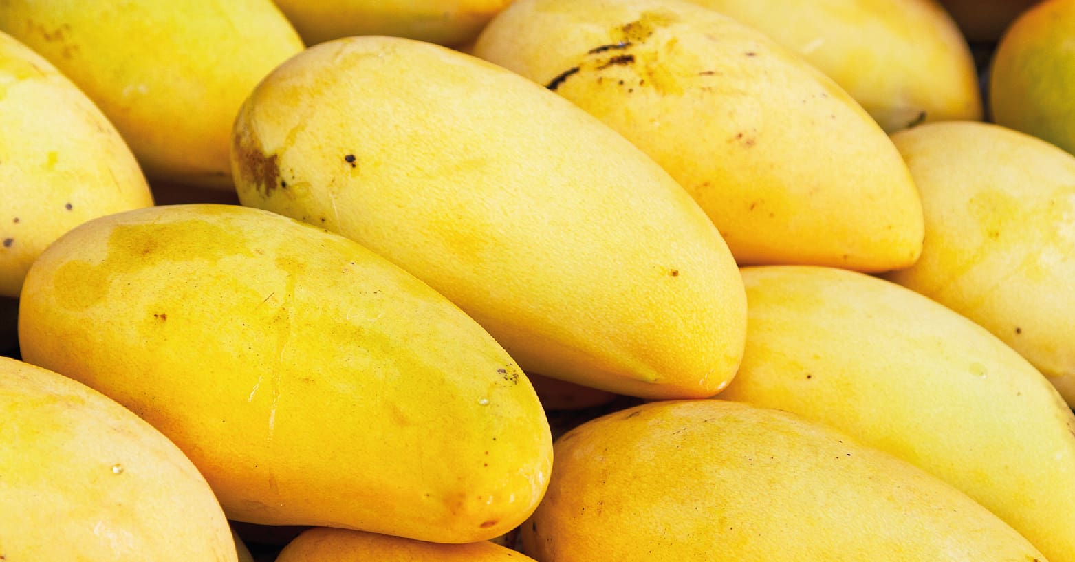 El mango, ayuda a combatir la anemia