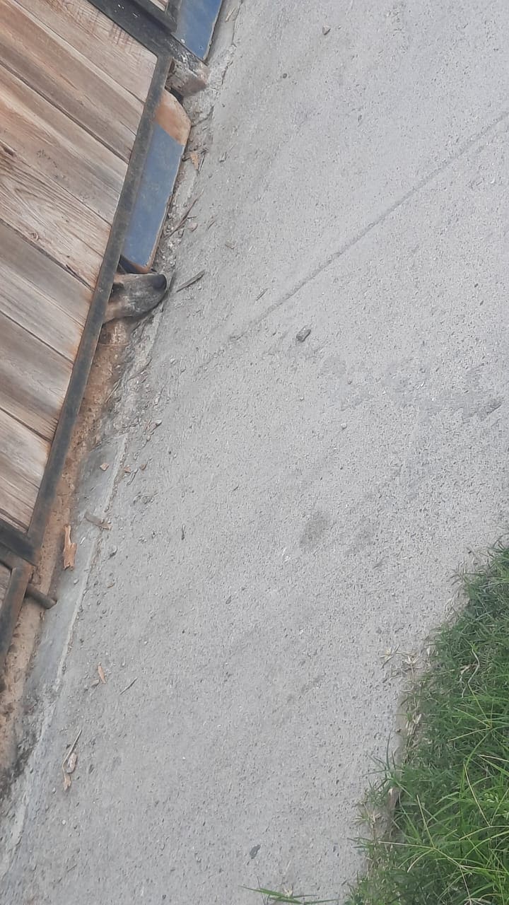 (Reporte Ciudadano) Vecinos de Los Nogales denuncian malos olores por presunto maltrato e insalubridad en domicilio