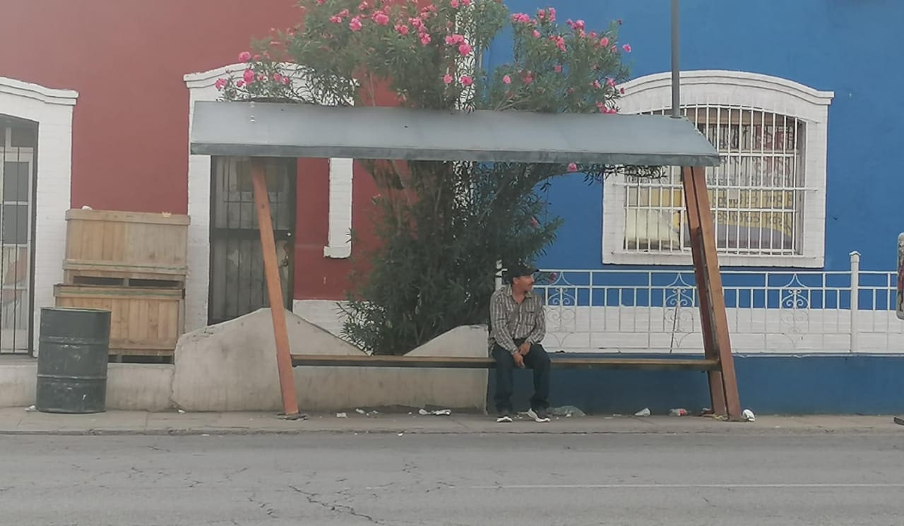 (Reporte Ciudadano) Artebús en ruinas