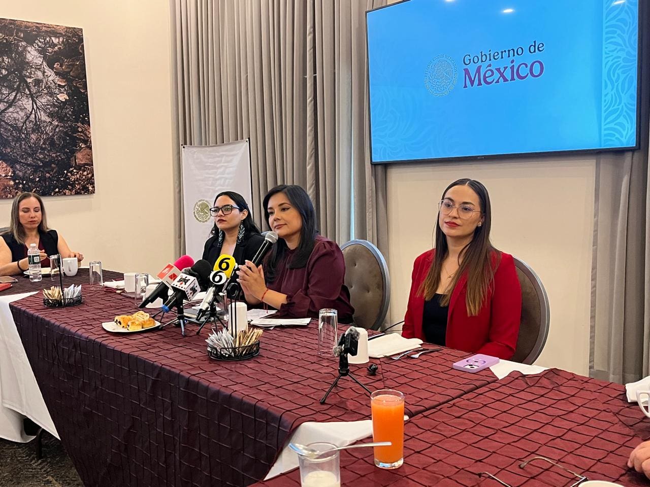 Responde Mayra Chávez a señalamientos de senador sobre desabasto de medicamentos