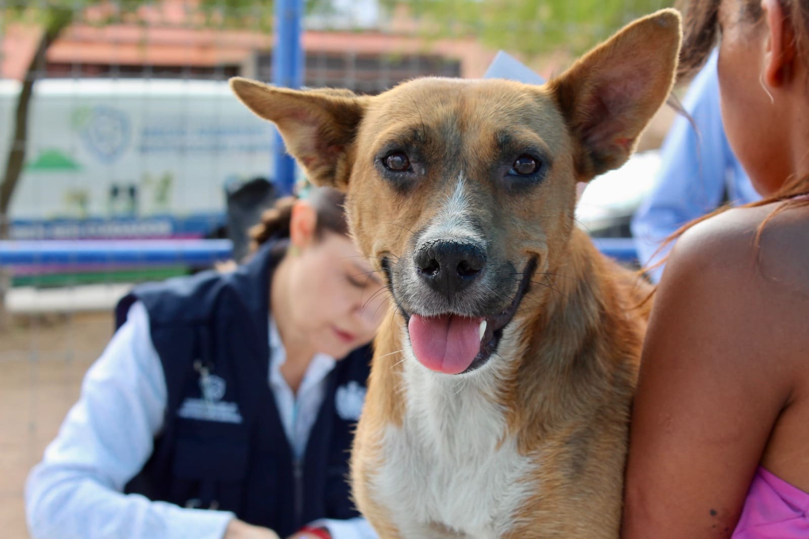 Llevarán Esterimóvil a Chihuahua 2000