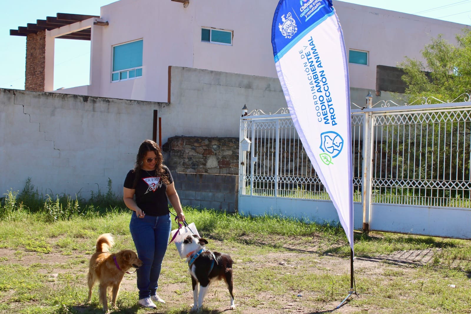 Aplican más de 500 servicios a mascotas de Labor de Terrazas