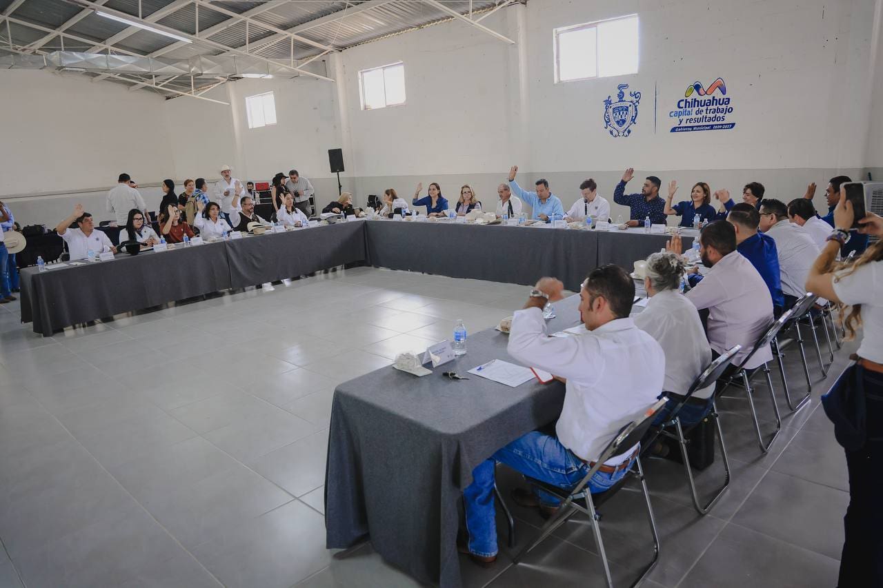 Aprueba convocatoria para renovar Consejo de Participación Ciudadana