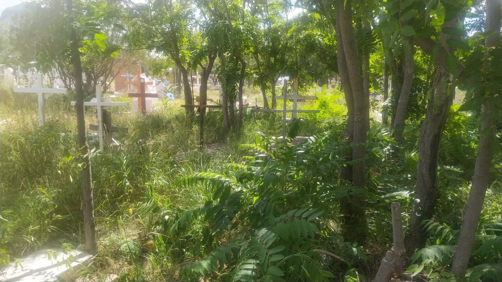 [Reporte Ciudadano] Abandono en el Panteón Municipal 1