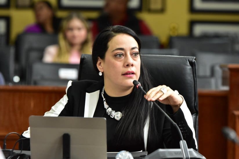 Excesos y contradicciones de la diputada América Aguilar