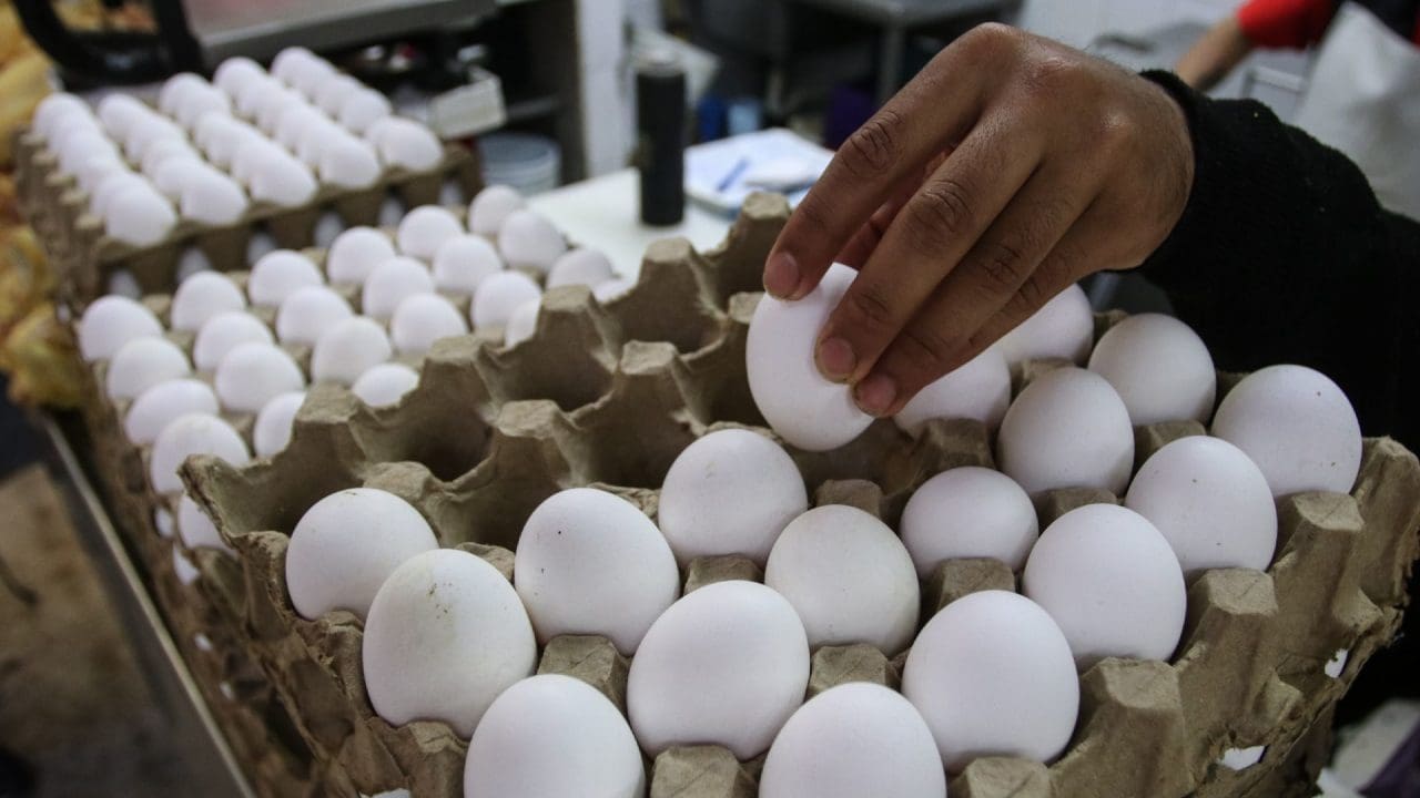 Baja la Inflación en la primera quincena de octubre, impulsada por menores precios del huevo, pollo y verduras