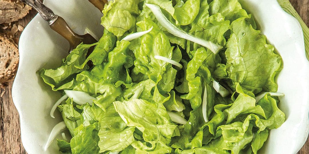 Comer lechuga diariamente, genera una buena digestión