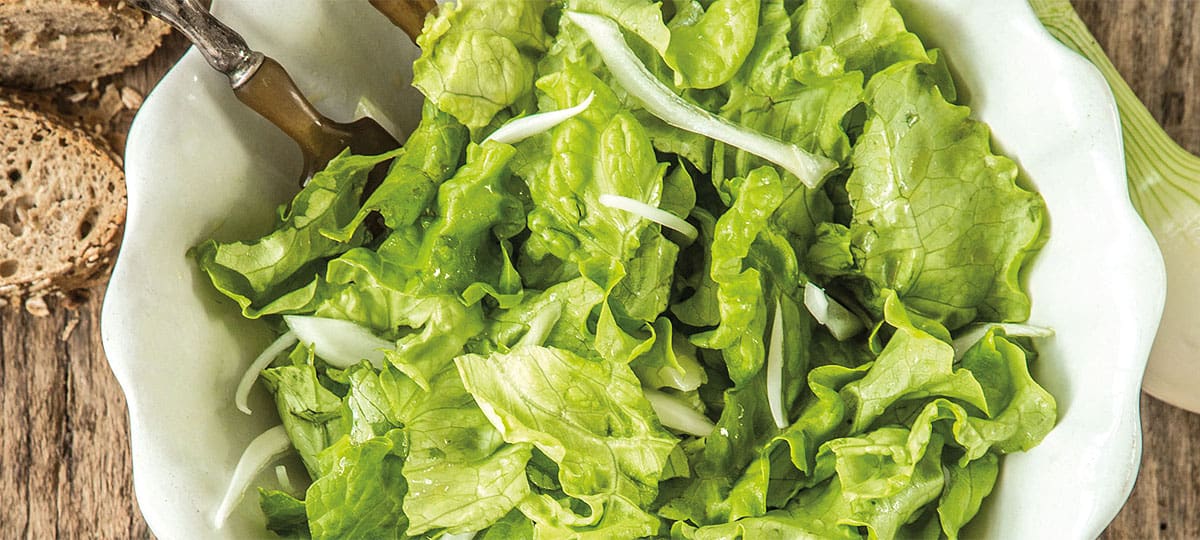 Comer lechuga diariamente, genera una buena digestión