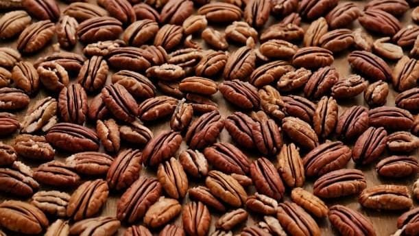 Reporta Apronuez disminución del 25% en producción de nuez pecanera