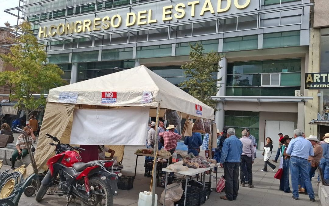 Agricultores locales tienen adeudos ante la CFE de más de 100 mil pesos