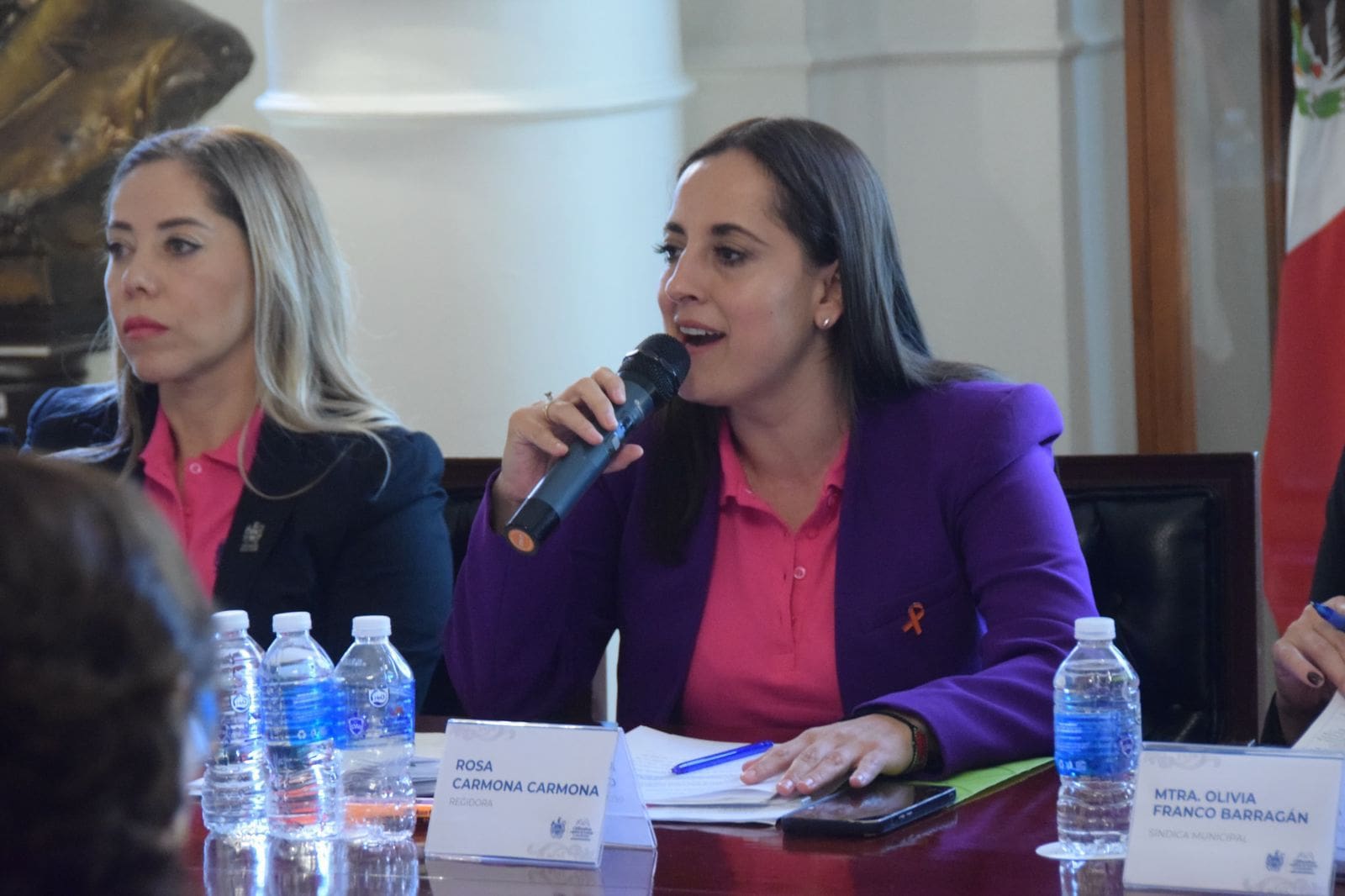 Rosy Carmona en Cabildo: “El agua no se vende ni se negocia”