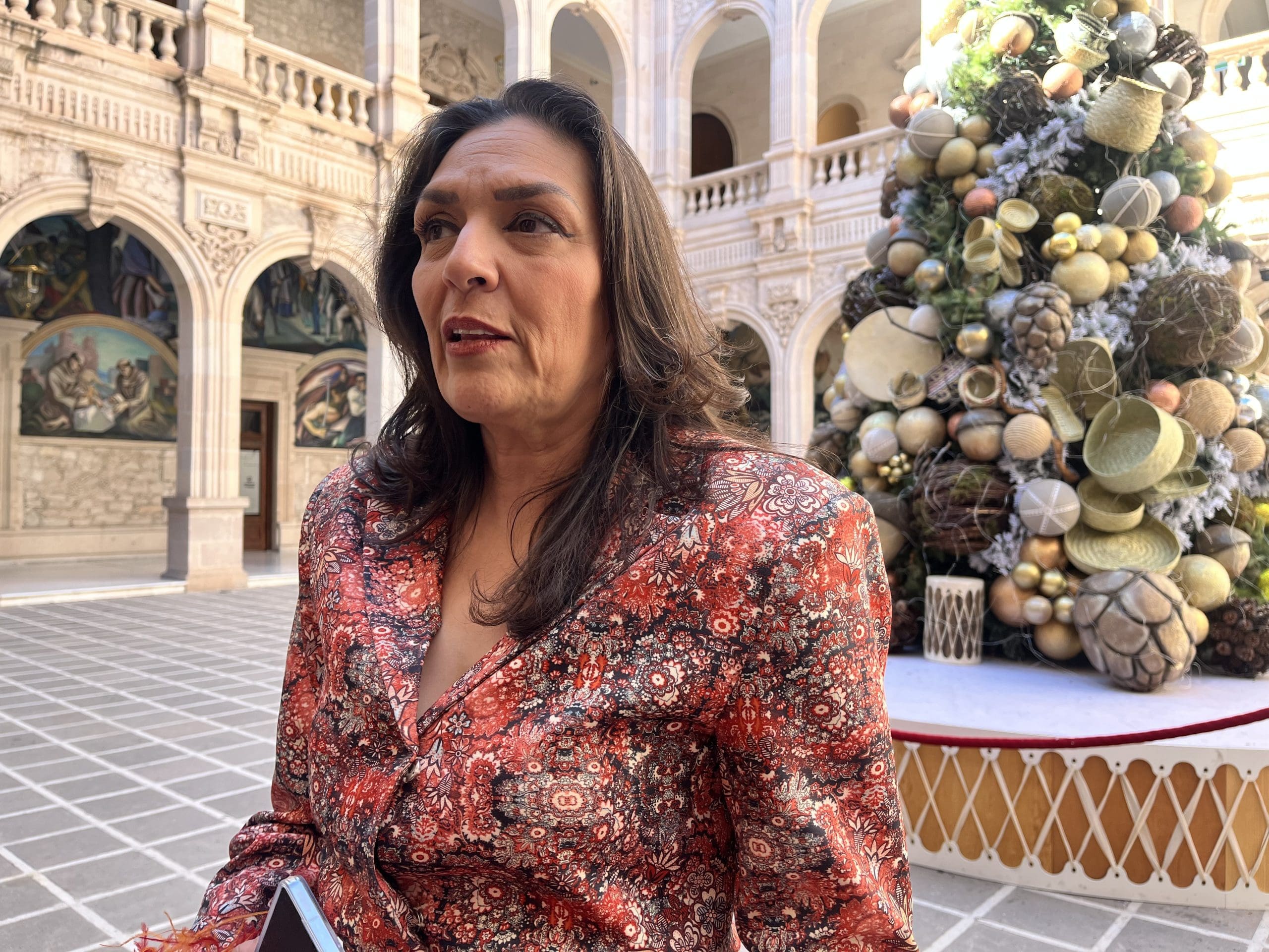 IEE espera denuncias formales para investigar propaganda a favor de Bonilla