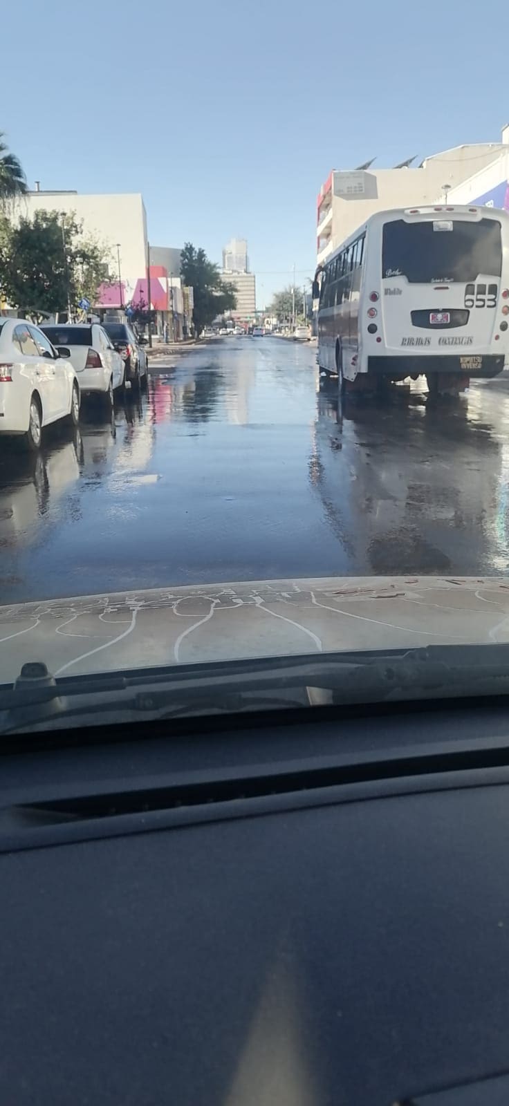 Mal calibrado el sistema de riego en parques del Centro: se desperdicia agua