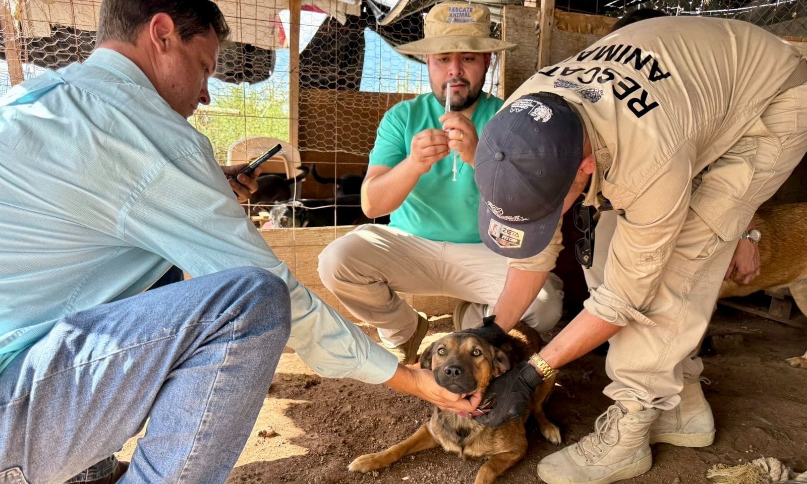 Apoyan a 22 asociaciones animalistas