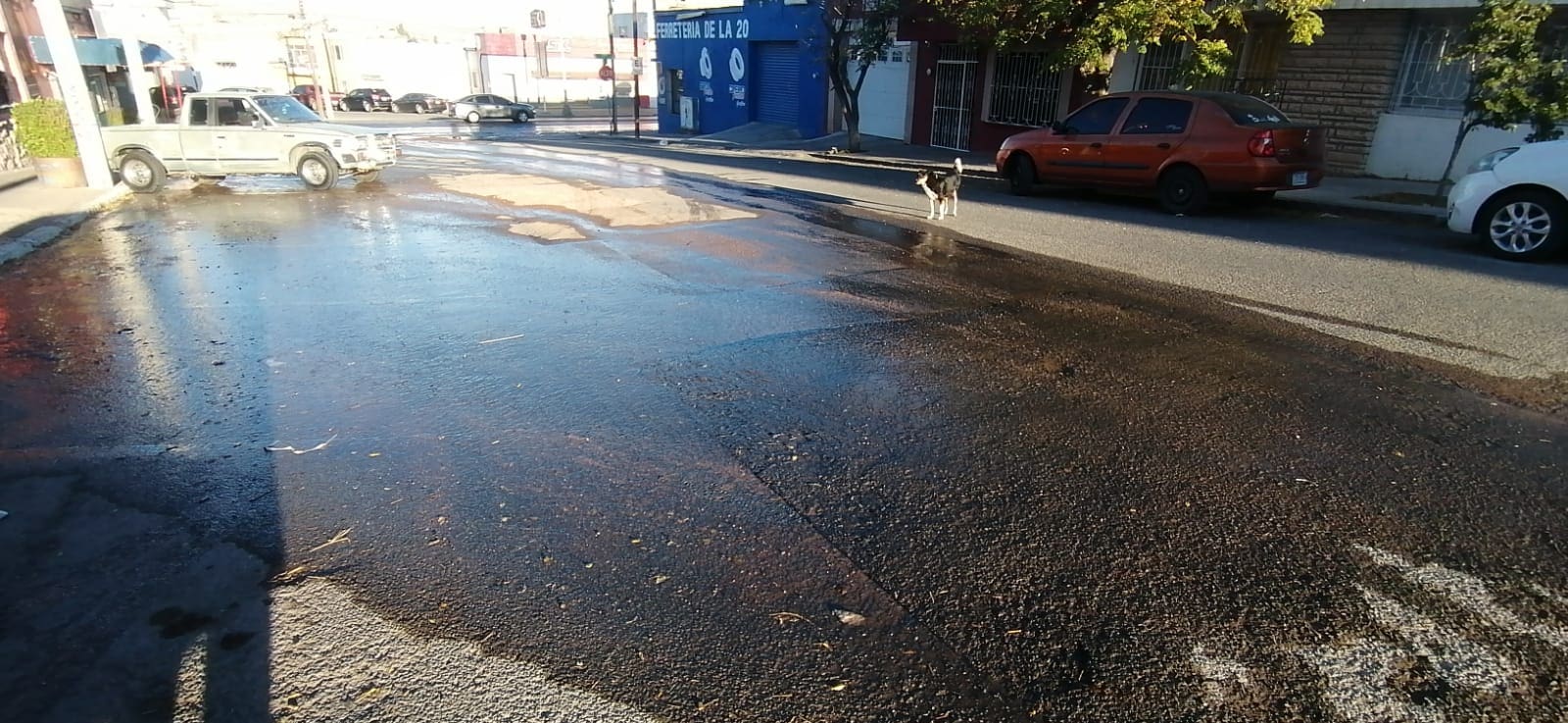 Fuga de agua en la colonia Santa Rosa; persiste desperdicio en 9ª y 20 de Noviembre
