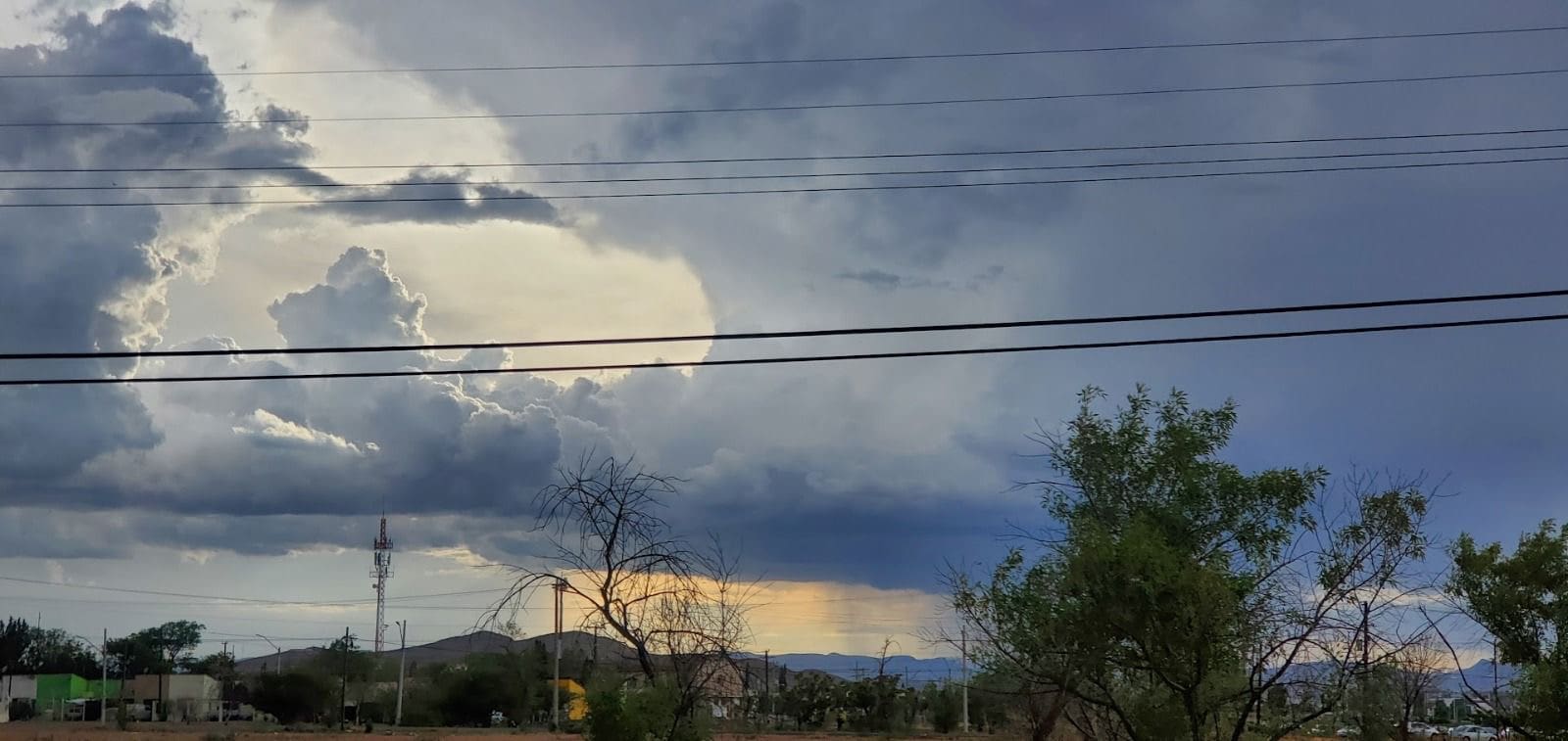 Alerta preventiva: frente frío 24 traerá heladas, fuertes vientos y posible nieve en Chihuahua