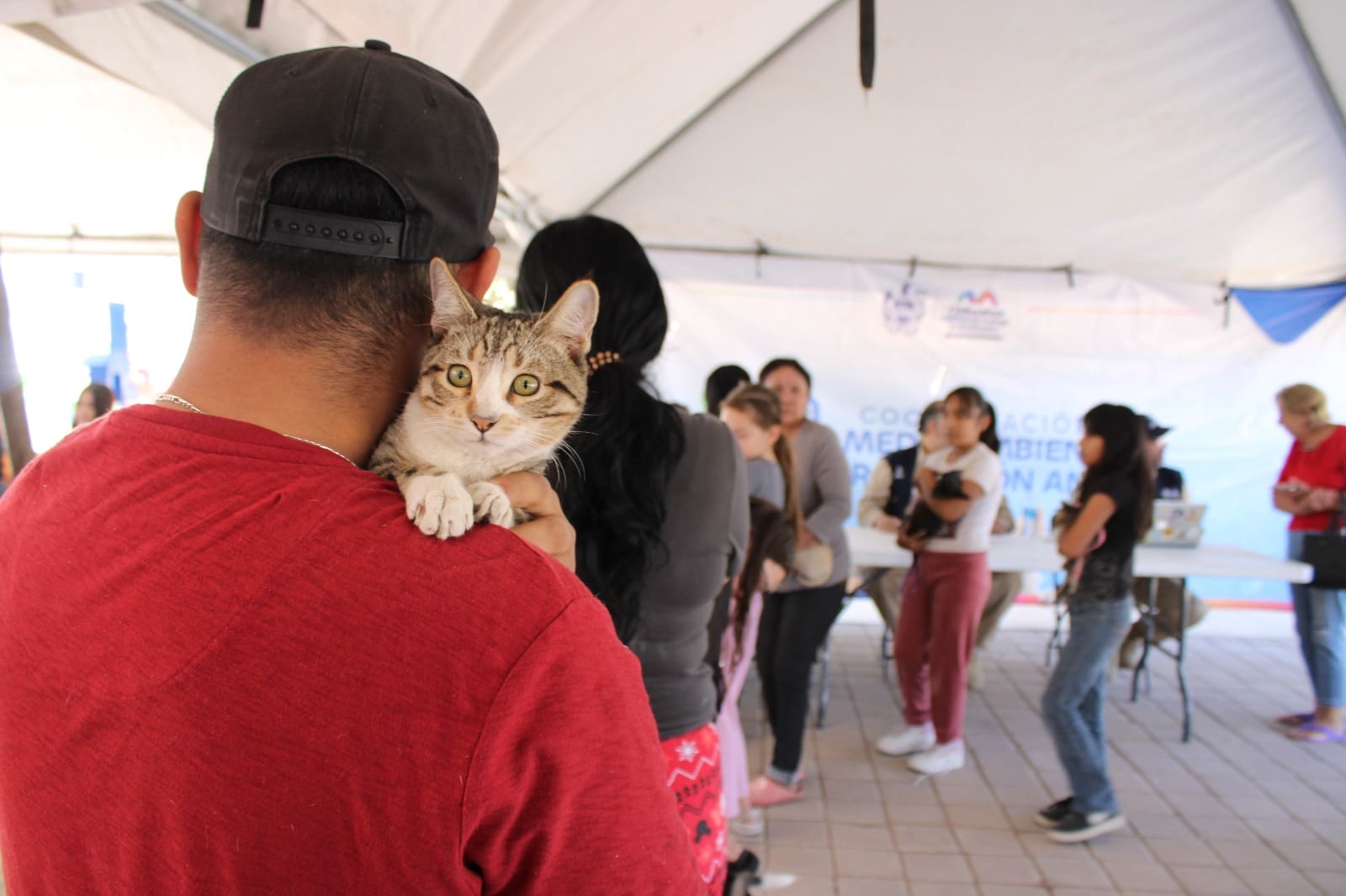 Piden responsabilidad ante regalos de mascotas por navidad