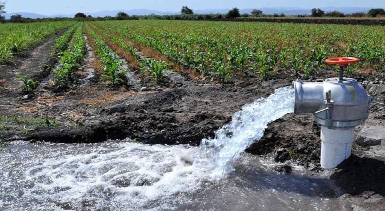 Destaca sector agropecuario acuerdos logrados ante nueva Ley de Aguas 
