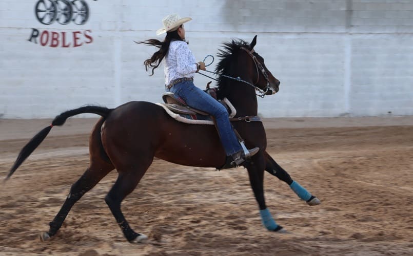 Se alista el Selectivo Juvenil Estatal de Rodeo Conade 2026