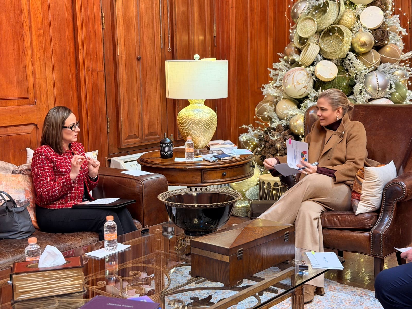 Analiza Maru Campos proyectos conjuntos entre poderes Ejecutivo y Judicial