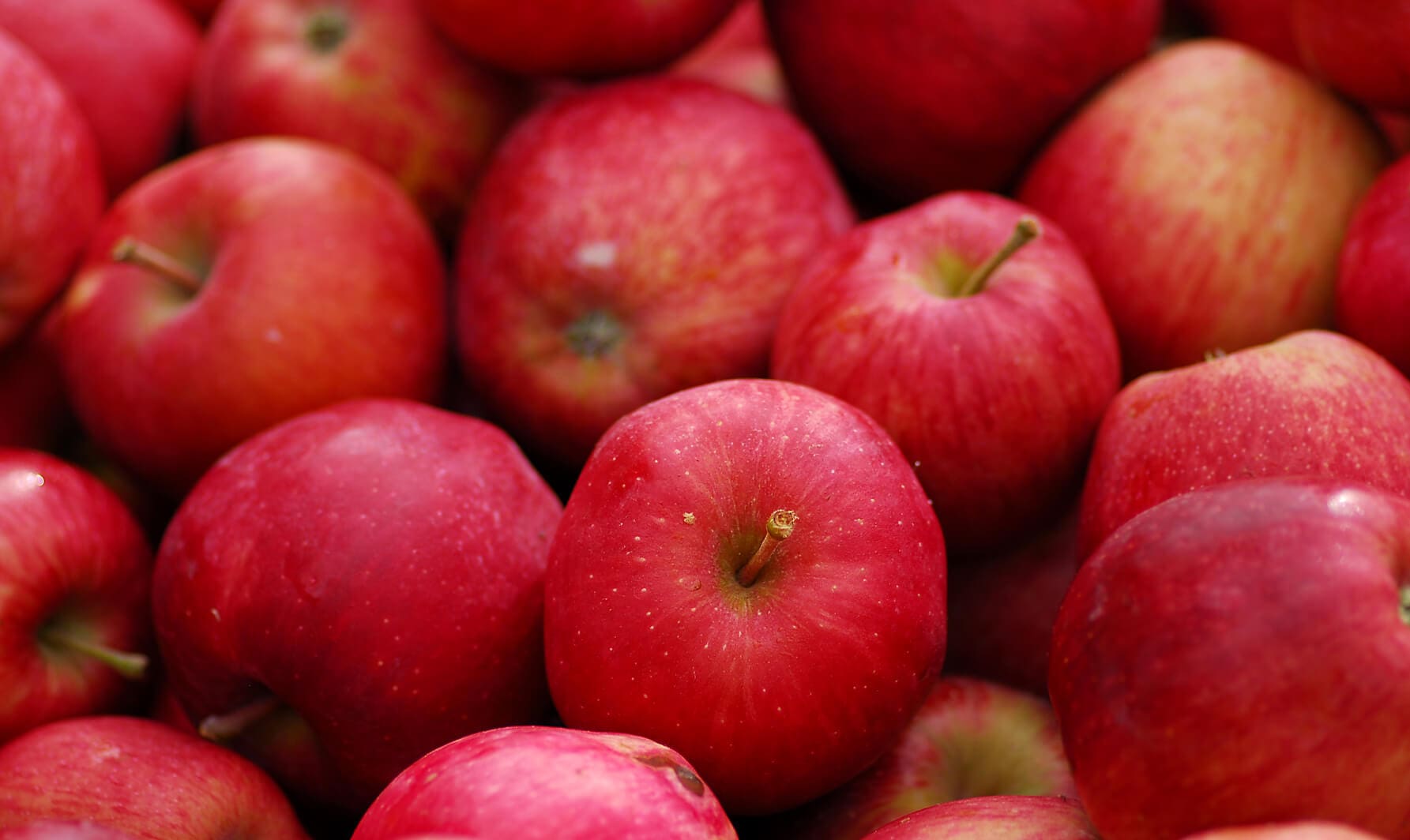 Antioxidantes de la manzana disminuyen los riesgos de cancer de colon
