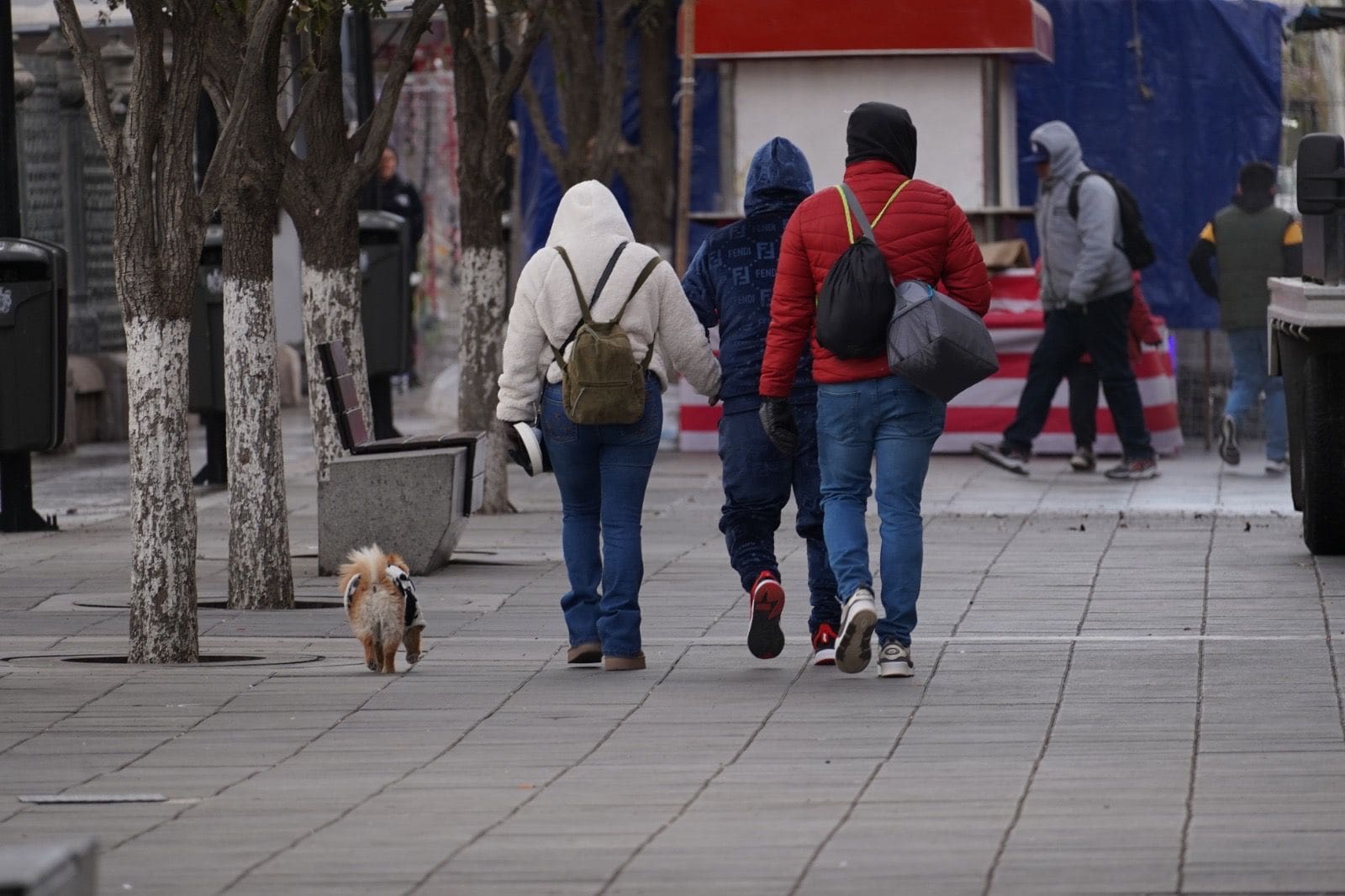 Chihuahua registró 483 mil 667 casos de infecciones respiratorias en 2025