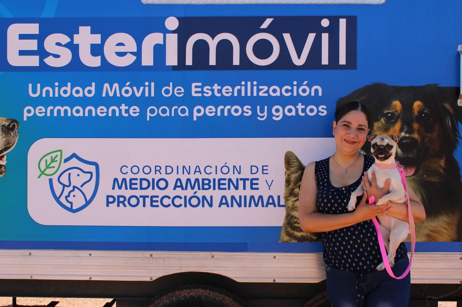 Esterilizaron a mil 920 perros y gatos en 2025