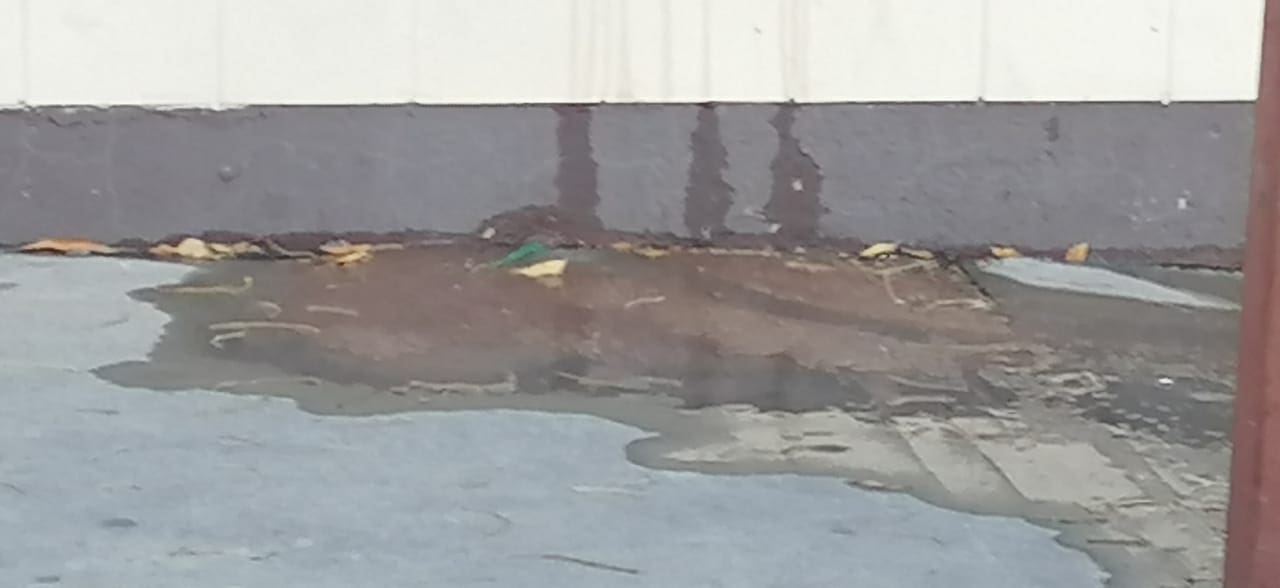 Fuga de agua genera encharcamiento en avenida Cuauhtémoc