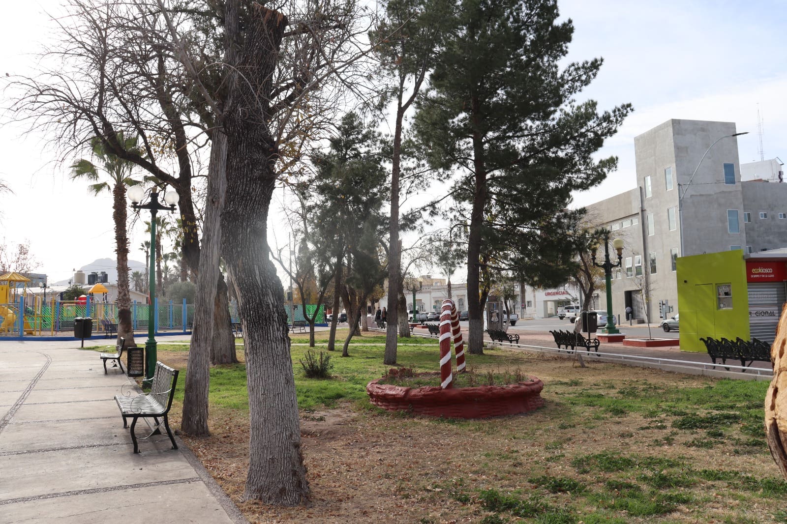 Ante bajas temperaturas, piden proteger a las plantas