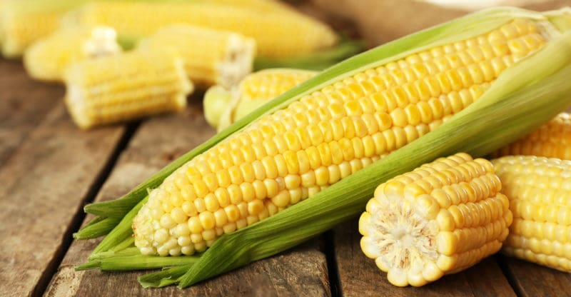 México rompe récord en importación de granos y se profundiza dependencia alimentaria