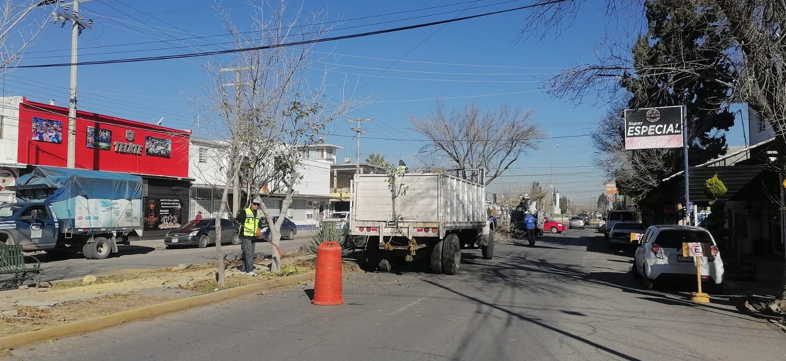 Retiran árboles secos en avenida Hidalgo y Heroico Colegio Militar
