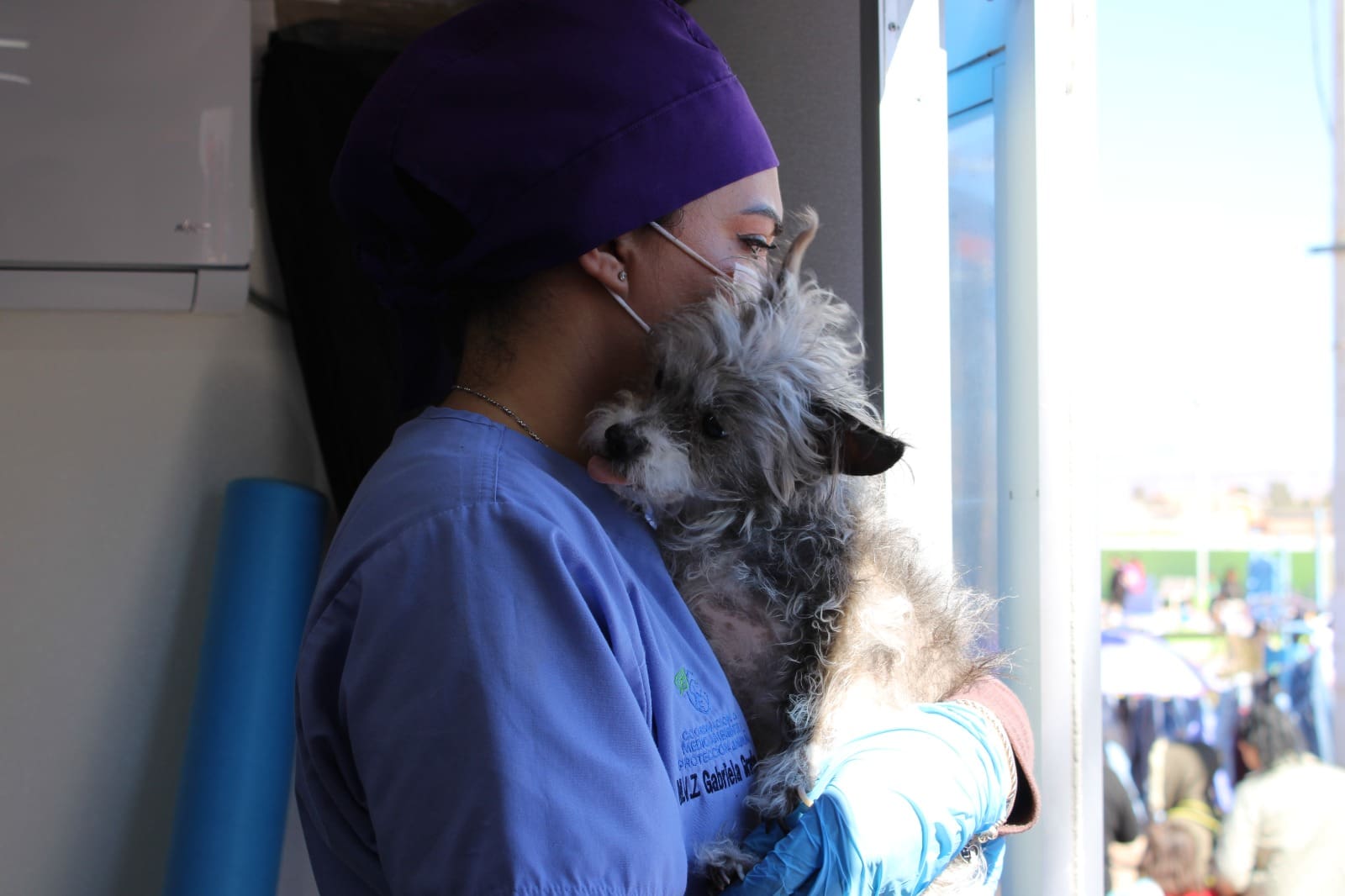 Han esterilizado más de 2 mil 340 mascotas en Chihuahua