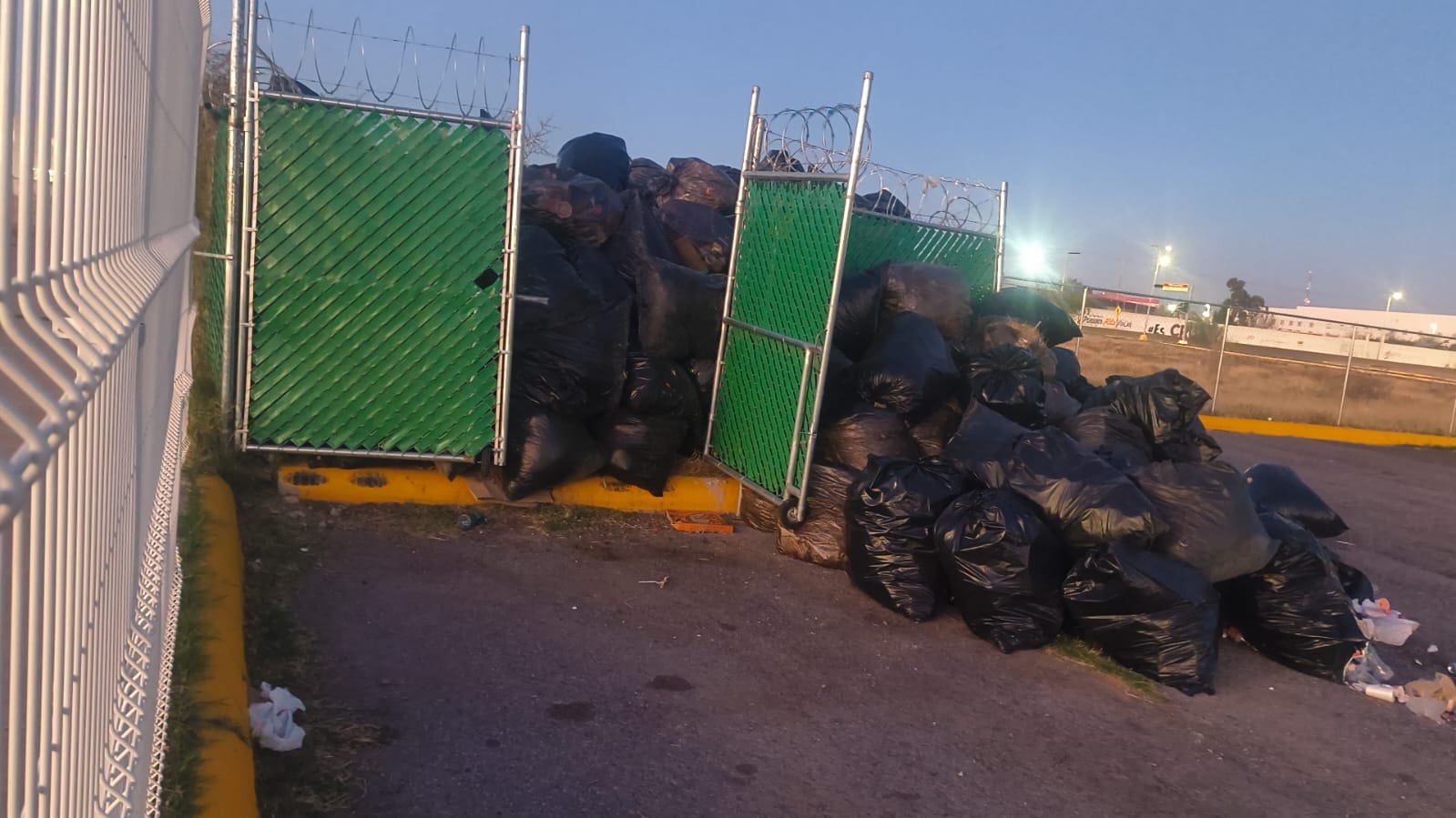 Vecinos denuncian abandono en la Deportiva Sur; basura y árboles secos preocupan a familias