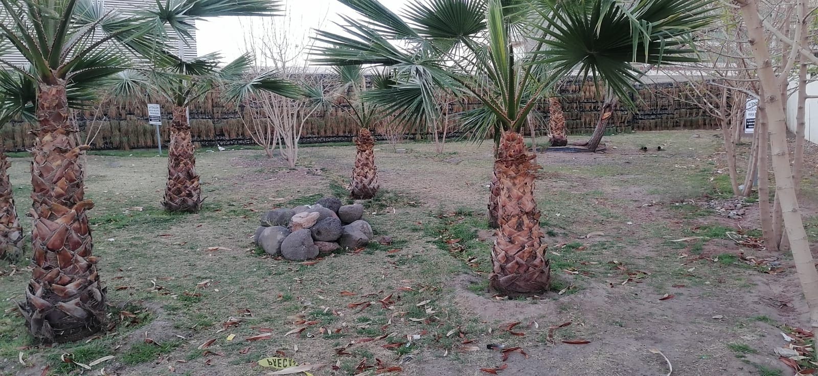 Denuncian abandono en Ciudad Judicial y deterioro de paraderos del Bowí en el Centro de Chihuahua
