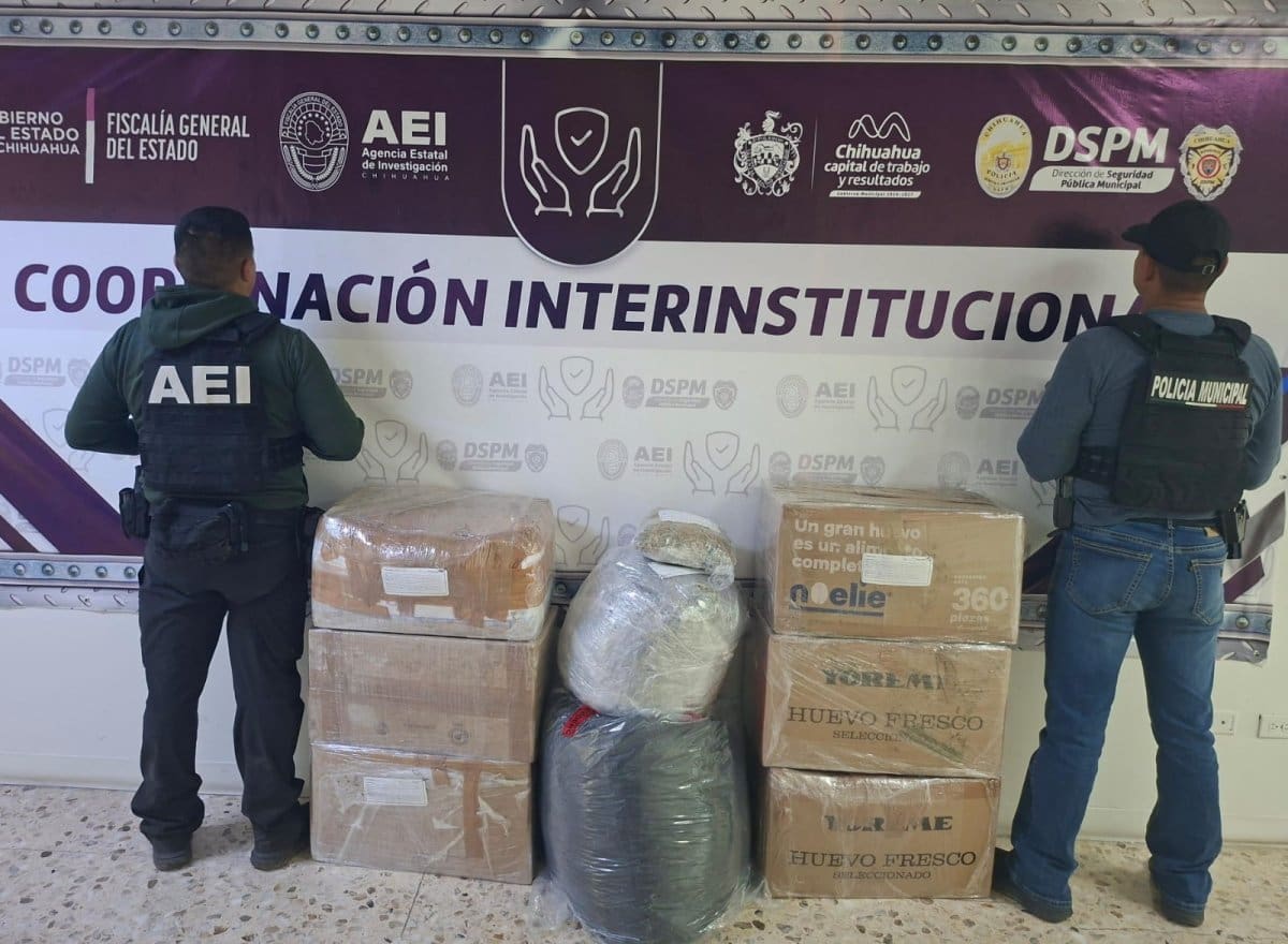 Aseguran más de 92 kilos de marihuana en carretera libre a Juárez