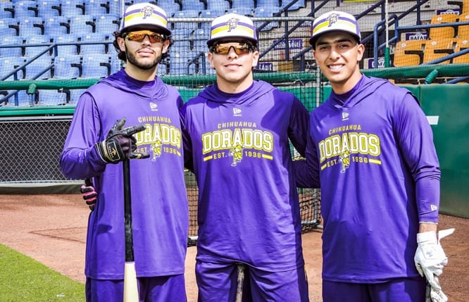 Reportan jugadores de cuadro y jardineros al spring training dorado