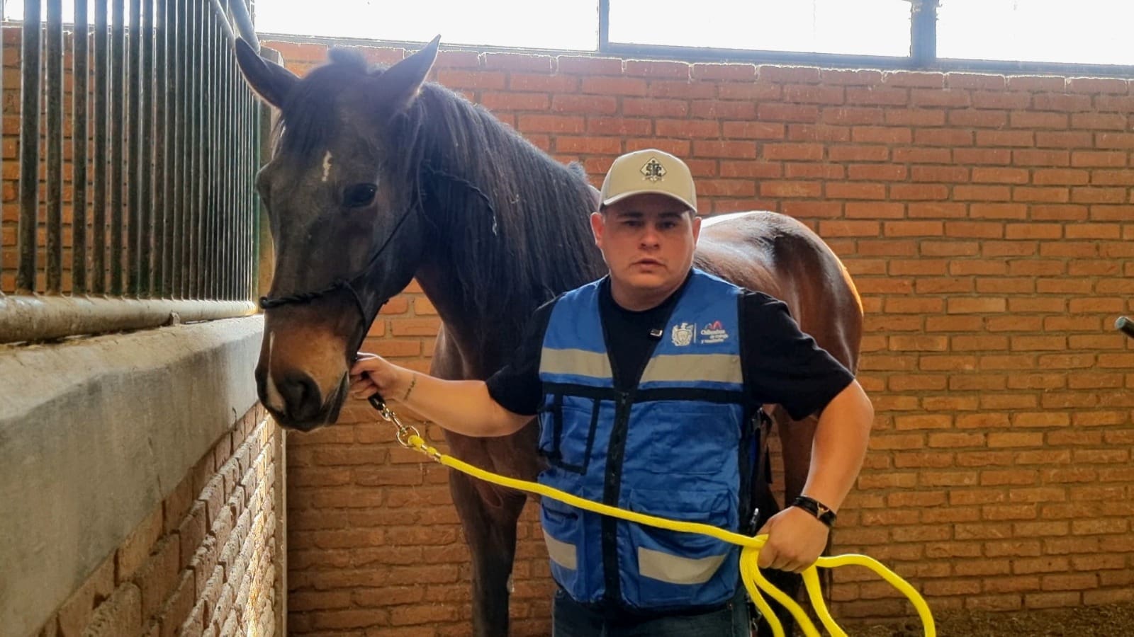 Policia Montada símbolo de fuerza para la ciudad