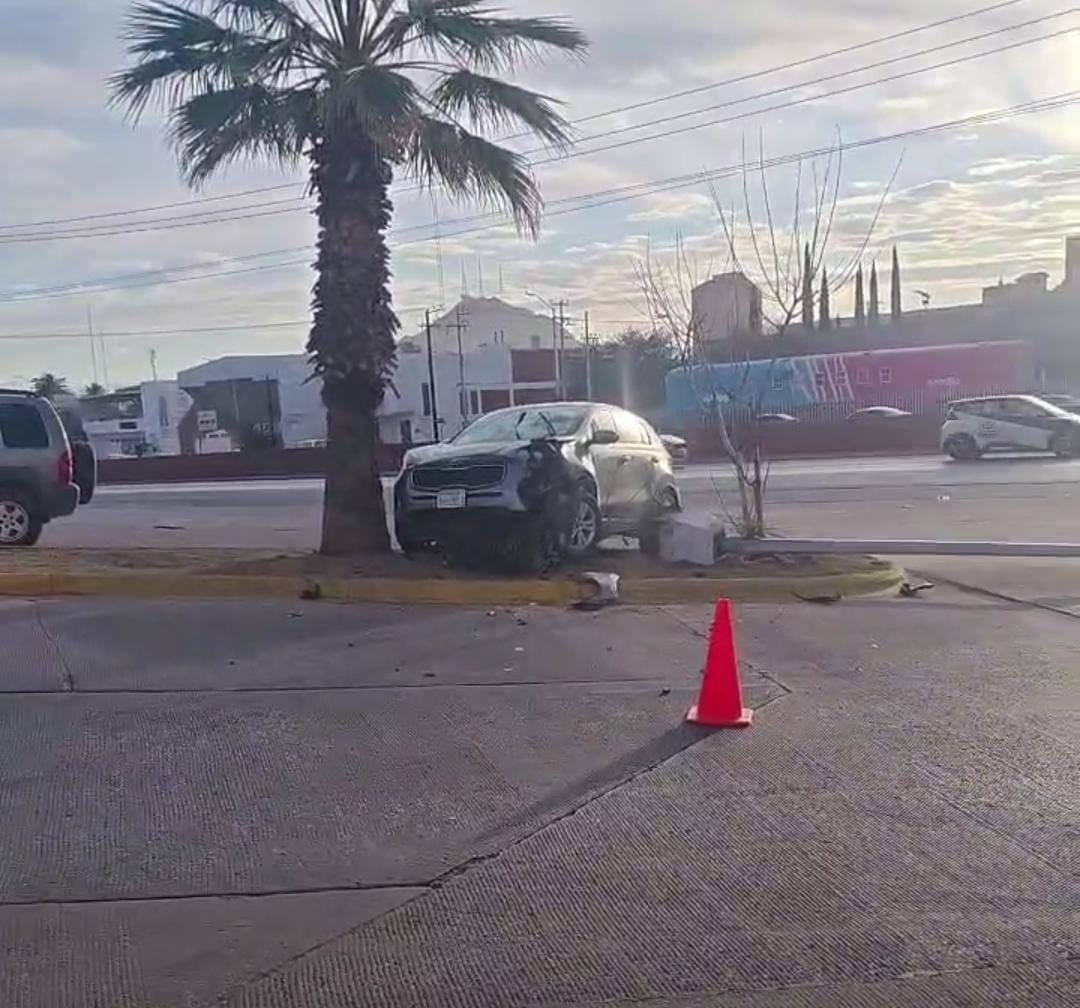 Pierde control, derriba poste y termina contra palmera en Teófilo Borunda
