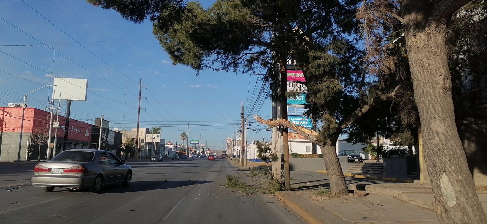 Camión de aseo urbano derriba ramas y cables en Avenida Las Américas