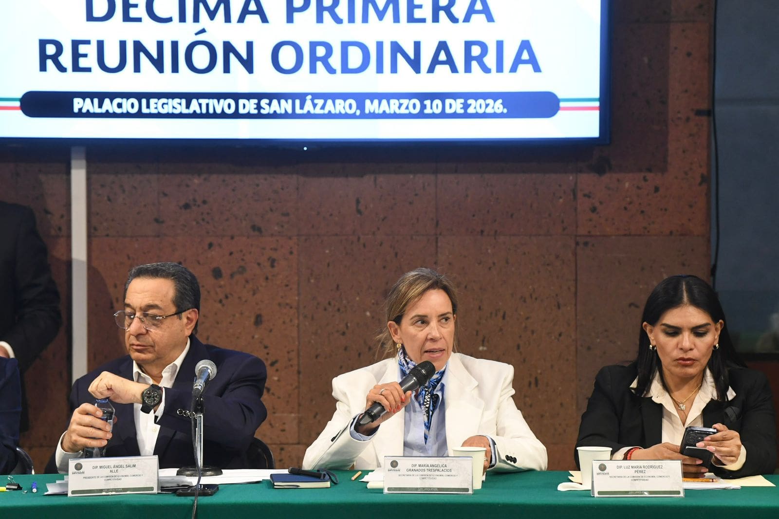 Critica Manque rechazo de Morena a iniciativa para apoyar a jóvenes emprendedores
