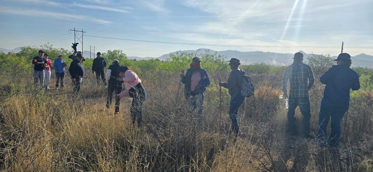 Rastrean madres buscadoras la Colonia Avalos en busca de Brenda Elvira Lechuga