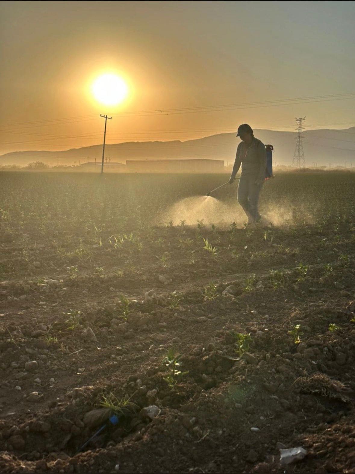 Investigadores de la UACH presentaron resultados de proyecto sobre microalgas en Chihuahua