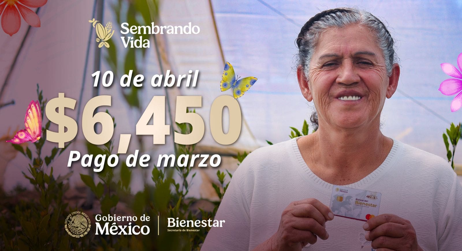Depositan apoyos a beneficiarios del programa  Sembrando Vida