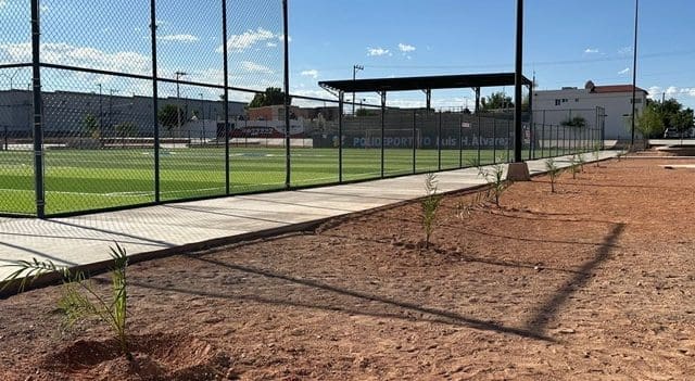 Realizan la forestación de 100 árboles en el Polideportivo Luis H. Álvarez