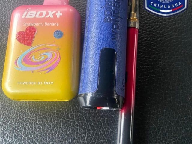 Localizan vapeadores con marihuana, en «operativo Mochila»