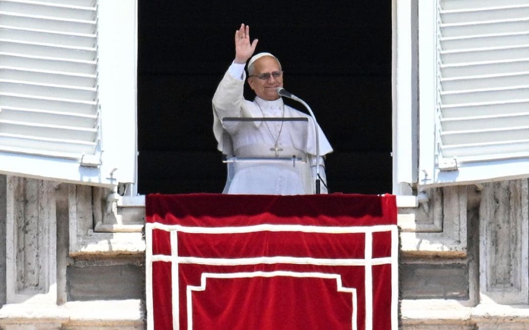 Lamenta el Papa Leon XIV que guerras frenan avances sobre el cuidado del medioambiente
