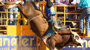 Van por reconocimiento constitucional para el rodeo y la cultura vaquera